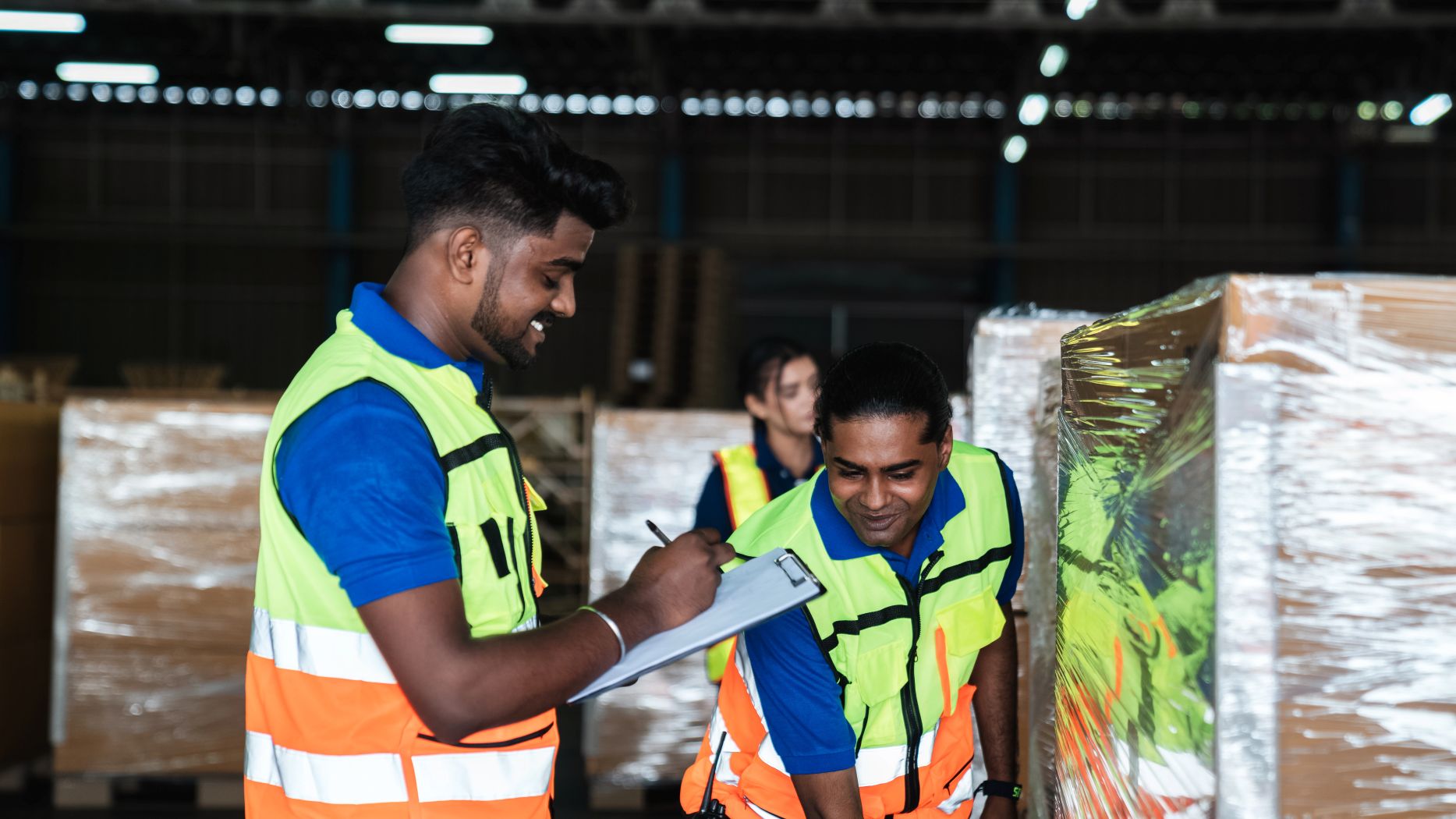 Expert Logistics Team